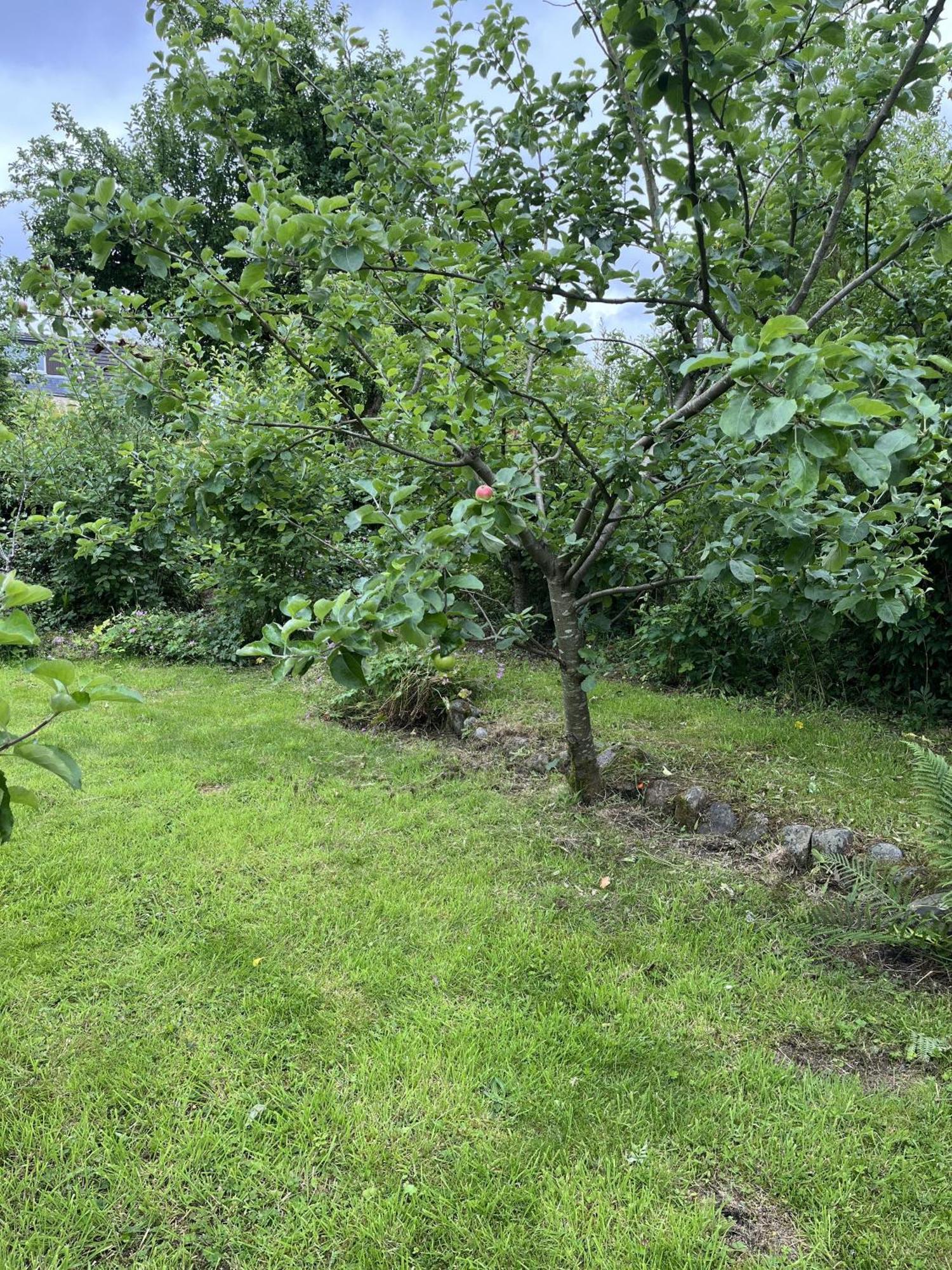 Apple Cottage Newton Stewart Eksteriør billede